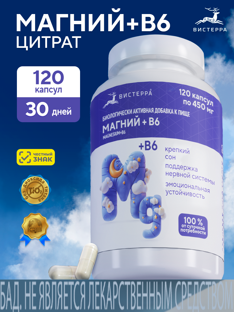 Капсулы Магний+В6 БАД, 120 шт. (20 в коробке)