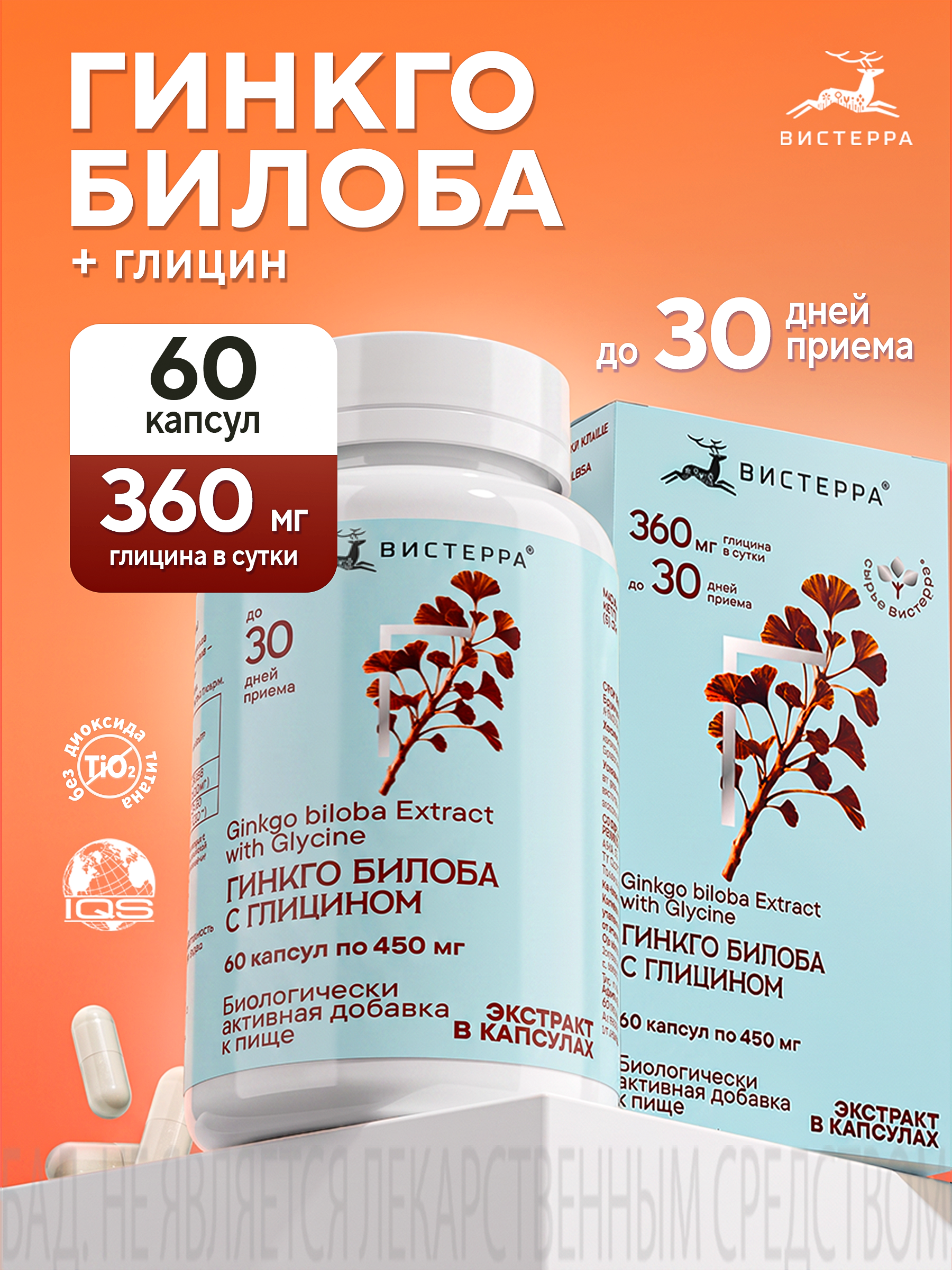 Капсулы экстракт гинкго билоба с глицином БАД, 60 шт. (12 в коробке)
