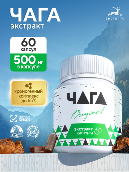 Капсулы Чага Original экстракт БАД, 60 шт (24 в коробке)