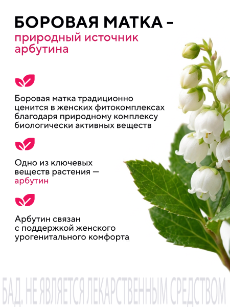 Капсулы экстракт боровой матки БАД, 60 шт. (12 в коробке)