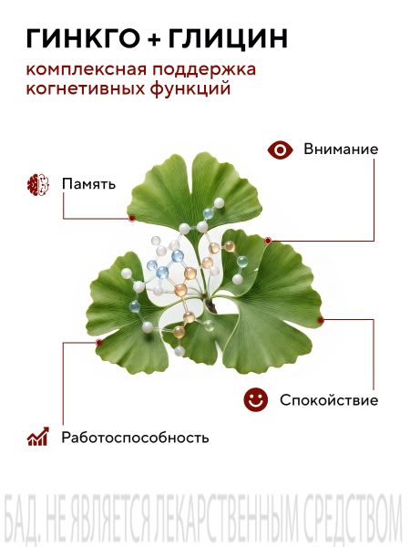 Капсулы экстракт гинкго билоба с глицином БАД, 60 шт. (12 в коробке)