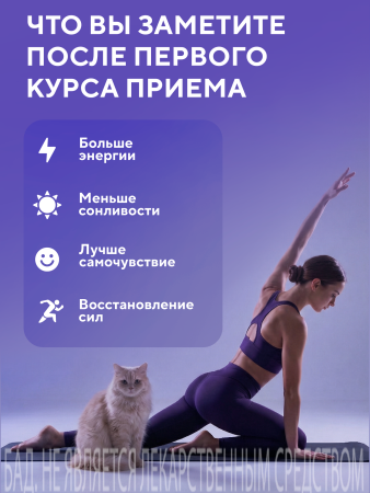 Капсулы Хелатное железо БАД, 60 шт. (20 в коробке)
