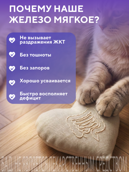 Капсулы Хелатное железо БАД, 60 шт. (30 в коробке)