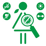 Профилактика онкологических заболеваний