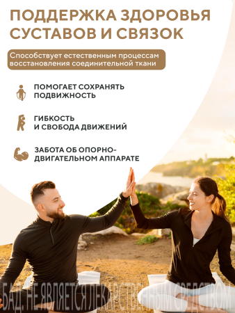 Капсулы Мумиё БАД, 60 шт. (20 в коробке)